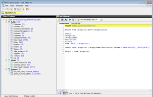 SQLite Query screenshot 1