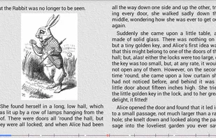 AlReader screenshot 1