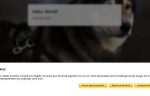 Cookie consent confirmation positioned at the bottom of the viewport.