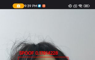 FacePlugin screenshot 2