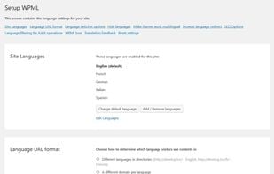 WPML Multilingual CMS screenshot 1
