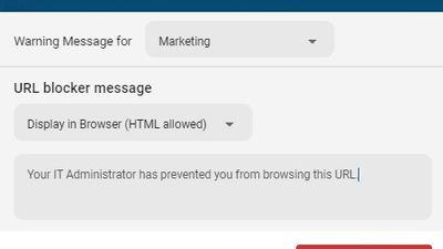 Custom warning message that  will be presented to your users when they attempt to access a blocked website.