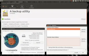 Main window and option window