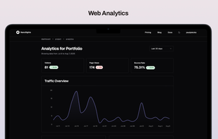 Web Analytics