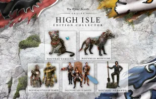 The Elder Scrolls Online screenshot 1