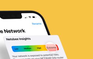 Netsbee screenshot 1