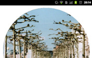 Rando 4Me screenshot 1