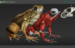 Vived Learning screenshot 1