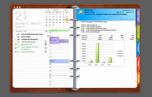 Opus Domini screenshot 1