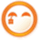 Tudou icon