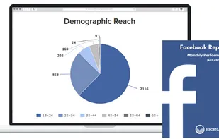 Facebook Reporting Tool