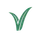 VCFY icon