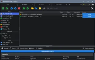 TrguiNG screenshot 1