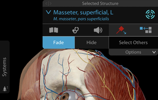 Human Anatomy Atlas 2020 screenshot 1