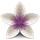 Vellum icon