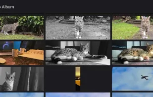65x24 Film Camera screenshot 3