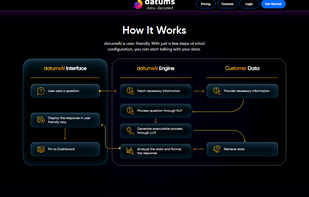 Process of Datums AI