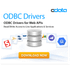 CData ODBC Drivers icon