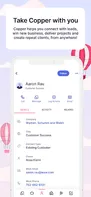 Copper CRM screenshot 1