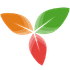  TriliumNext icon
