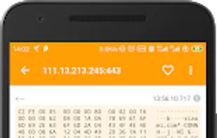 HttpCanary screenshot 2