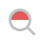 PokeLens icon