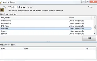IObit Unlocker screenshot 3