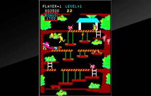 Kangaroo(Arcade Archives) screenshot 2