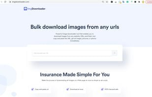 Bulk download images from website