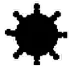 MineSector icon