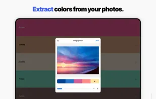 Coolors screenshot 2