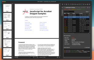 Javascript Inspection