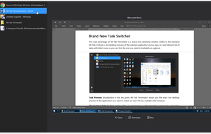 Alt-Tab Terminator screenshot 3