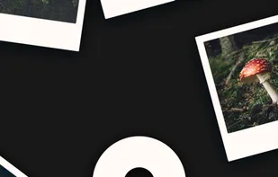 Picular Photo screenshot 1