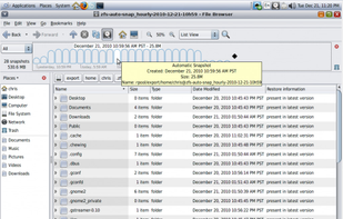 OpenIndiana screenshot 1