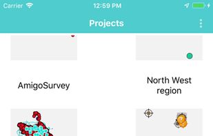 AmigoCollect screenshot 1