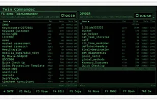 Twin Commander screenshot 1