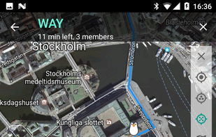 Android: map view showing the group members