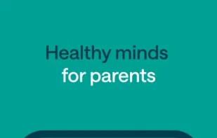 Pareful screenshot 1