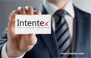Intentex screenshot 1