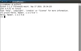 The Python 3.1 interpreter running in a GNOME Terminal