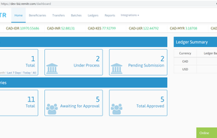 Homepage of REMITR Business Payments