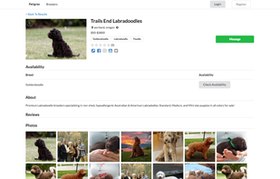 Petigree screenshot 2