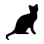 ScreenCat icon