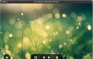 LeafView screenshot 1