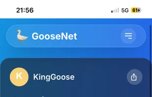 GooseNet screenshot 3