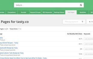 SpyFU screenshot 2