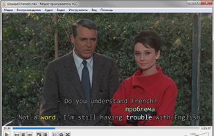 LinguaSubtitle screenshot 1