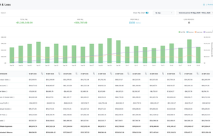 Visual profit and sales timeline helping eCommerce teams understand growth patterns and campaign results