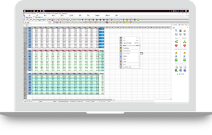 SSuite Axcel Professional Spreadsheet screenshot 1